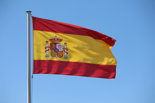 The Spanish language